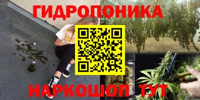 гидра Апрелевка