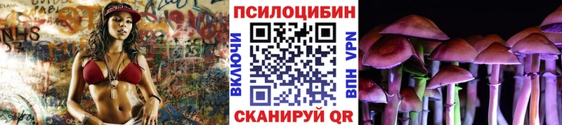 Псилоцибиновые грибы Psilocybe  где продают наркотики  Лобня 