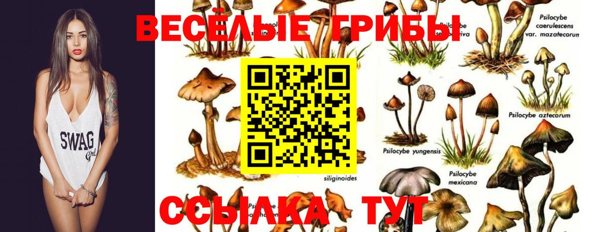 Псилоцибиновые грибы мухоморы Лобня