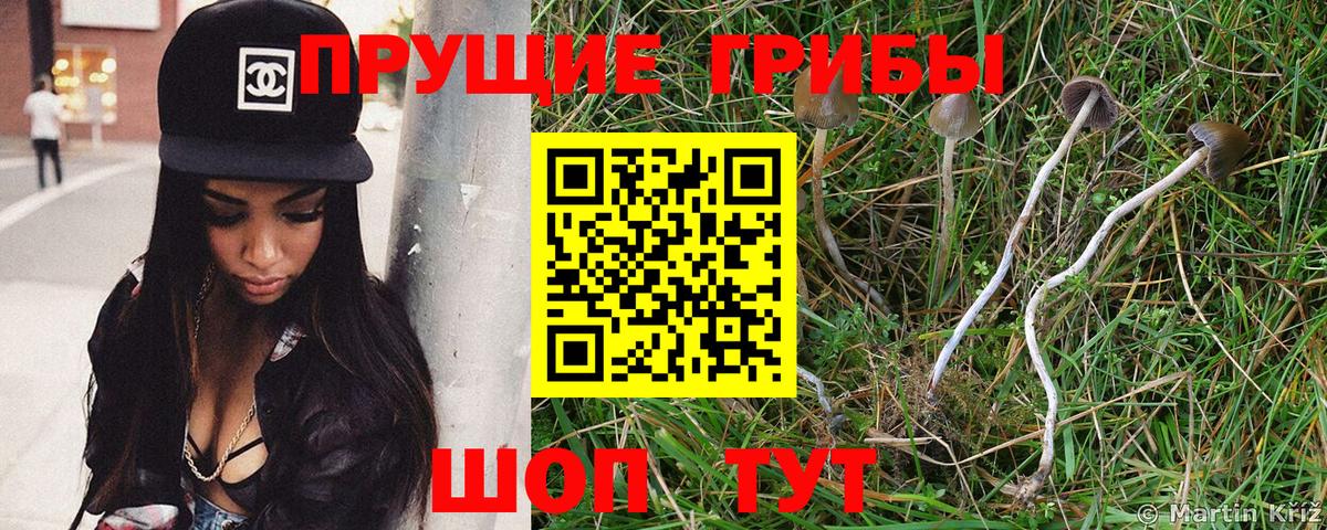 Псилоцибиновые грибы мухоморы Лобня