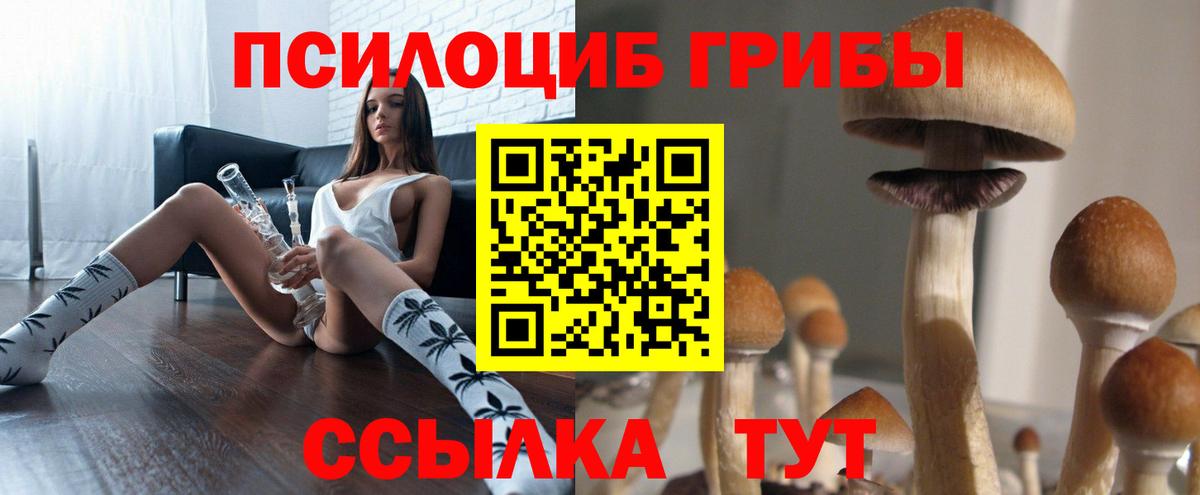 Галлюциногенные грибы GOLDEN TEACHER  Галлюциногенные грибы Magic Shrooms  Лобня 