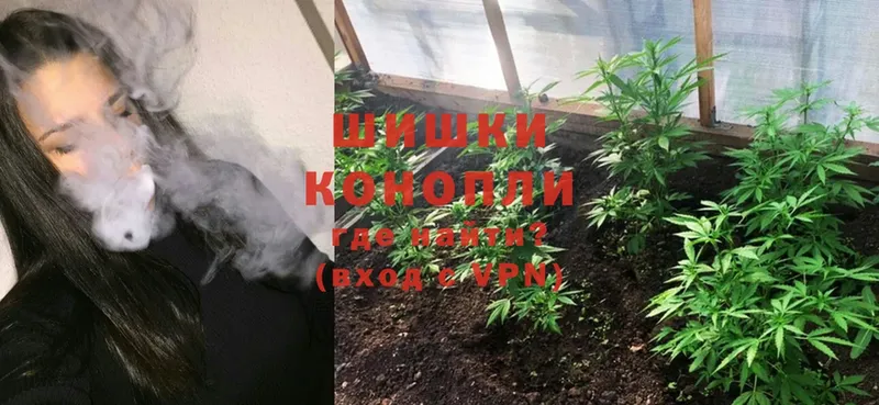 Бошки Шишки THC 21%  Лобня 